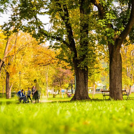 Explore - Welcome to Windsor-Essex